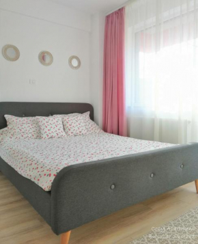 Cozy Apartment Bujorilor Suceava
